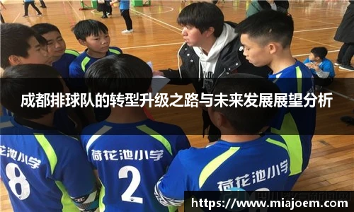 成都排球队的转型升级之路与未来发展展望分析